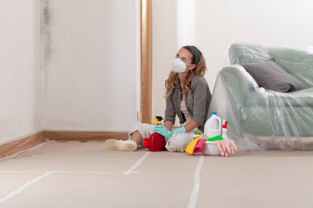 Trusted Commercial Mold Remediation service in Preston, TX - WQB Mold Removal